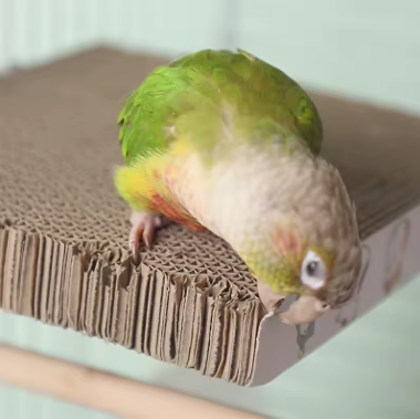 Jouet en carton pour oiseaux