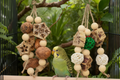 Jouet à mâcher en bois naturel